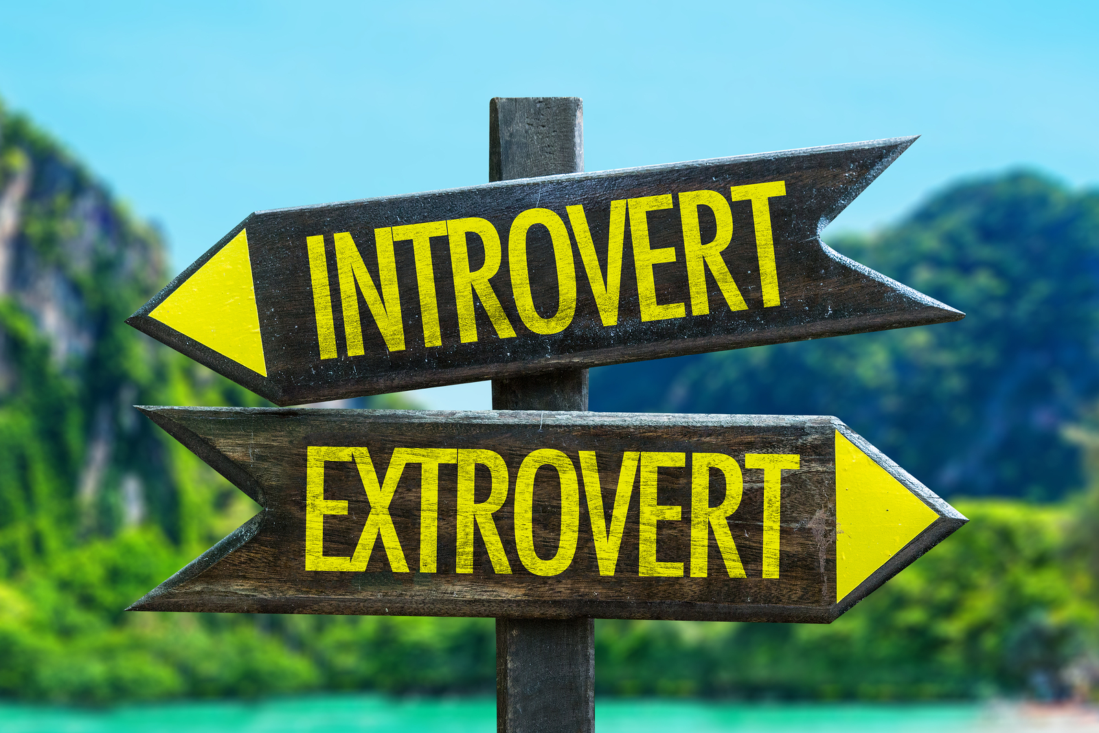 Introverts-and-Extroverts